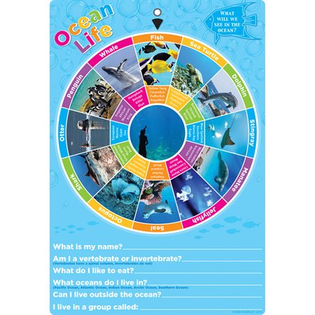 Smart Wheel®, Ocean Animals