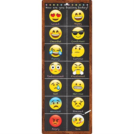 Smart Poly® Clip Chart with Grommett 9" x 24", Emoji Feelings