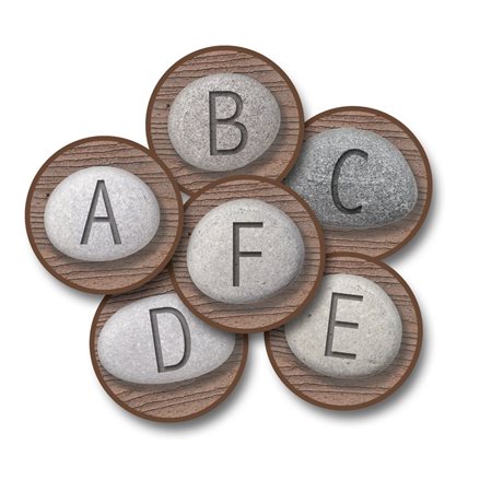Stones Carpet Rounds, Set of 26