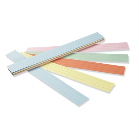 Sentence Strips, Assorted