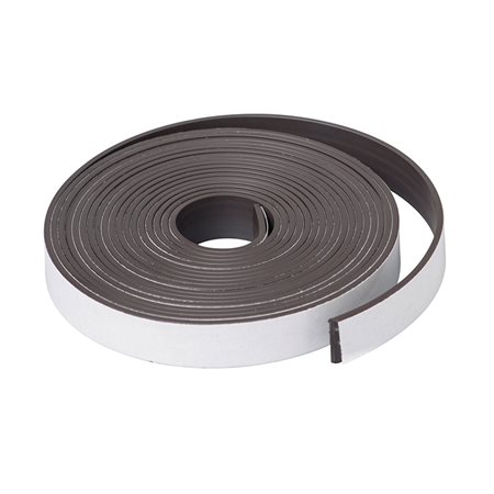 Magnet Strip, 1" x 10' Roll