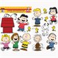 Peanuts® Classic 2-Sided Deco Kit