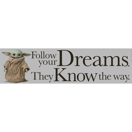 Star Wars: The Mandalorian "Follow Your Dreams. They Know the way" Banner