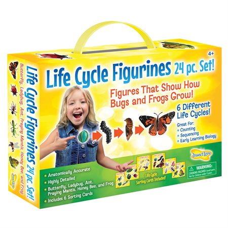 Life Cycle Figurines, 24-Piece Set