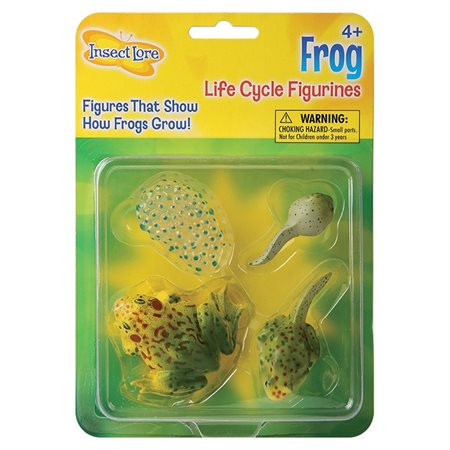 Life Cycle Stages, Frog