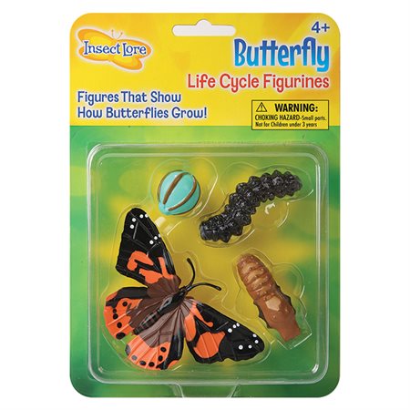 Life Cycle Stages, Butterfly