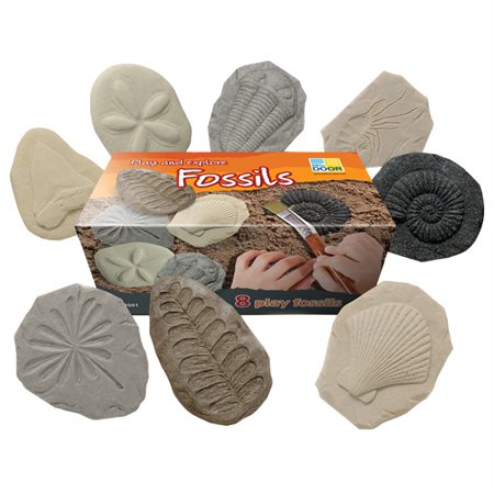 Let's Investigate Fossils, Set of 8