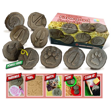 Let's Investigate Farmyard Footprints