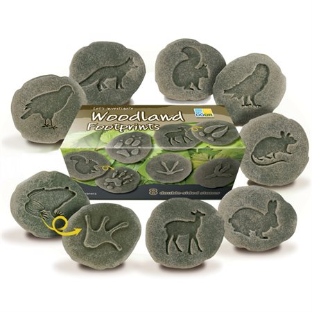 Let's Investigate Woodland Footprints